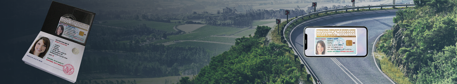 International driving permit online requirements